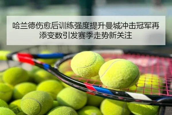 哈兰德伤愈后训练强度提升曼城冲击冠军再添变数引发赛季走势新关注